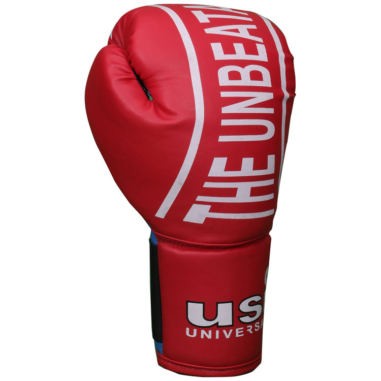 Novice Boxing Gloves (Bouncer Series) – 612NV