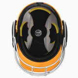 Defender 2.0 Cricket Helmet