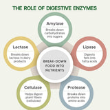 Digestive Enzymes with Bromelain Plant-Based | Probiotics & Herbs | 60 Caps | 120 Caps