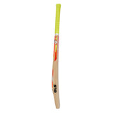 GLS Don Plus Kashmir Willow Tennis Bat