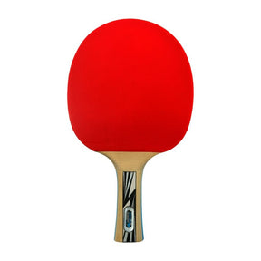 DONIC Legends Silver Bat