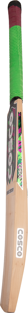 Cosco Double Century Kashmir Willow Cricket Bat FULL - Cosco Cricket Equipment