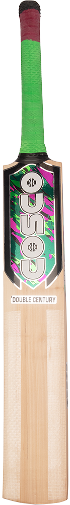 Cosco Double Century Kashmir Willow Cricket Bat FULL - Cosco Cricket Equipment