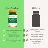 Echinacea Extract Capsules  120 Count | Immune Boost & Antioxidant Support