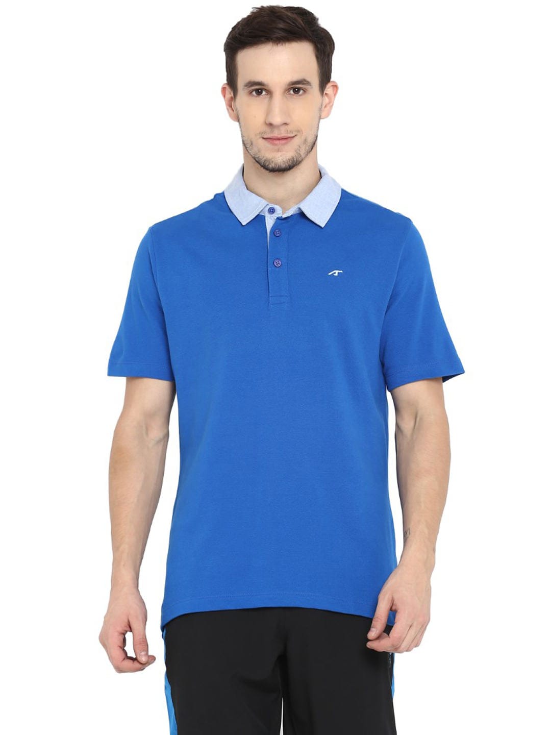 Alcis Men Solid Blue Polo ECMPO02014