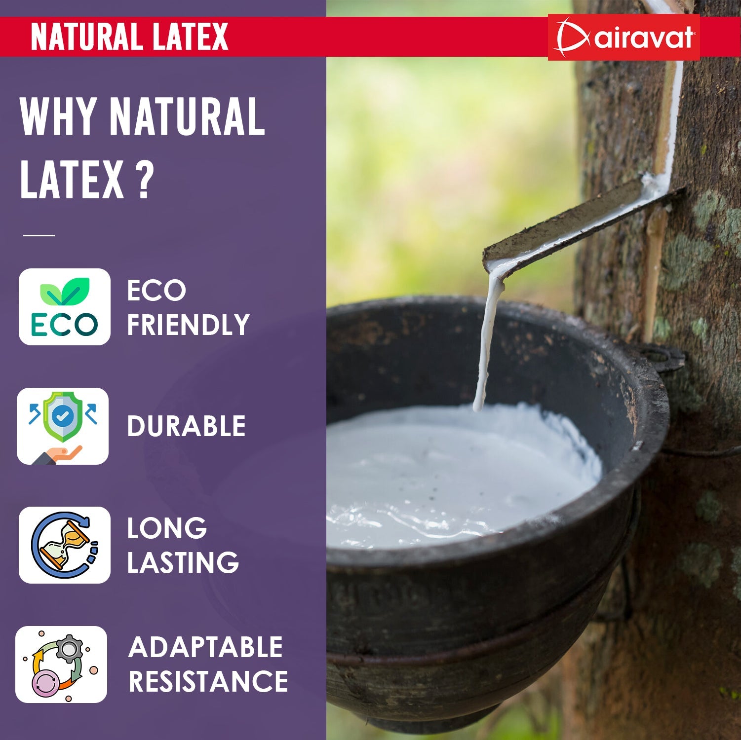 EXERCISE TUBE 4501 (LEVEL 4)