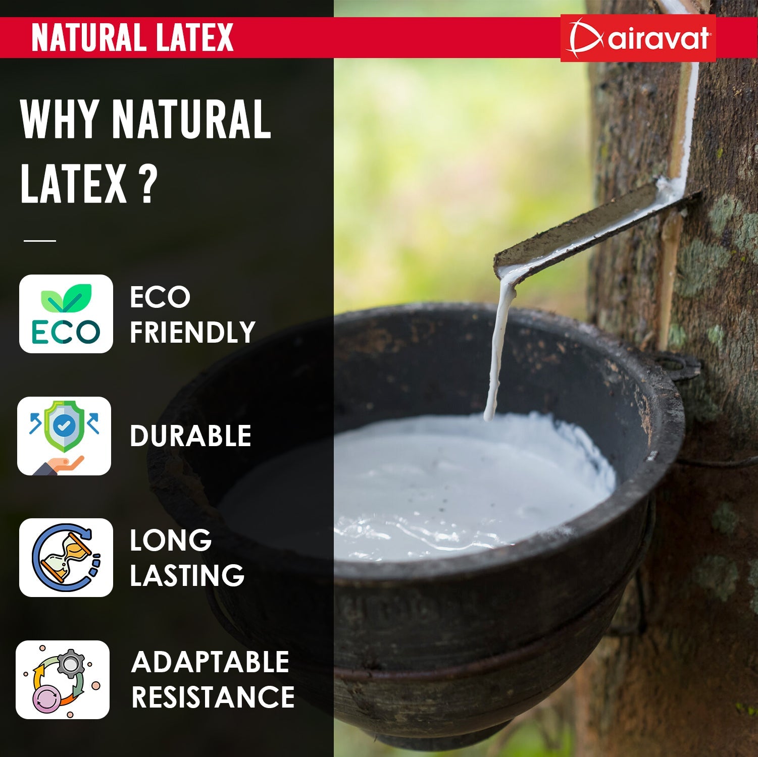 EXERCISE TUBE 4501 (LEVEL 1)