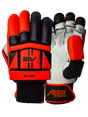 Cricket Batting Gloves - Black & Red