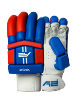 Cricket Batting Gloves - Blue & Red