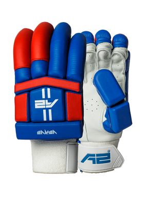 Cricket Batting Gloves - Blue & Red
