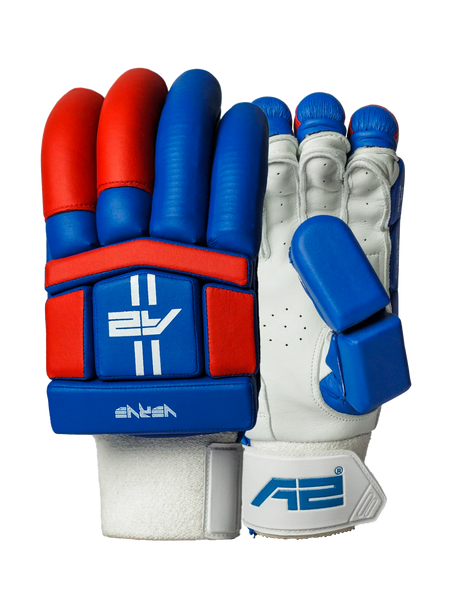 Cricket Batting Gloves - Blue & Red