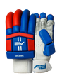 Cricket Batting Gloves - Blue & Red
