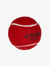 Shrey Prodigy Cricket Set