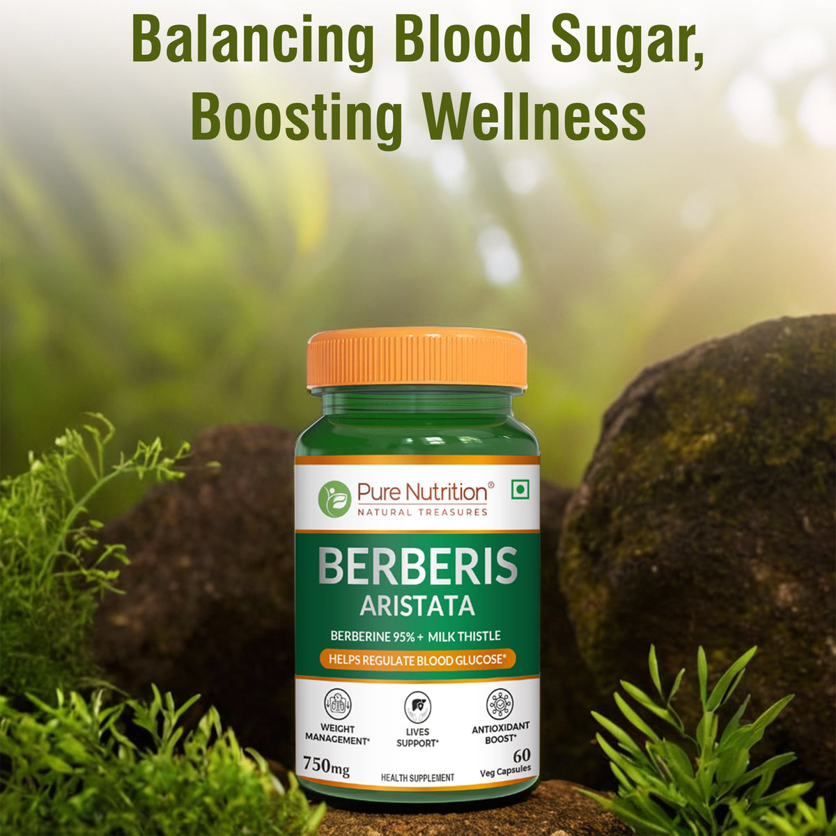 Berberis Aristata 60 Capsules  Berberine 95% & Milk Thistle | Liver Support
