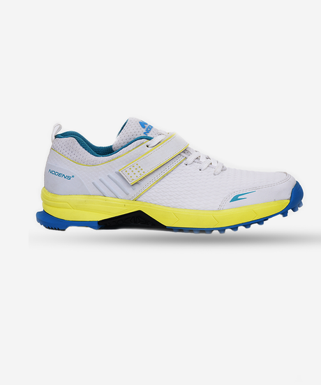 SMART CRICKET SHOES | Anand Legguard Works / Nodens Sports