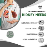 Kidney Wellness Support | Turmeric & Punarnava | 500mg | 60 Capsules