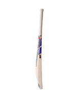 SF Blade English Willow, Nurtured in India Cricket Bat