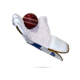 SF Platinum Wicket Keeping Gloves