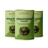 Wheatgrass Powder  100g | Detox, Alkalizing & Daily Energy Support