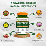 Kidney Wellness Support | Turmeric & Punarnava | 500mg | 60 Capsules