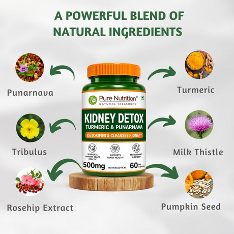 Kidney Wellness Support | Turmeric & Punarnava | 500mg | 60 Capsules