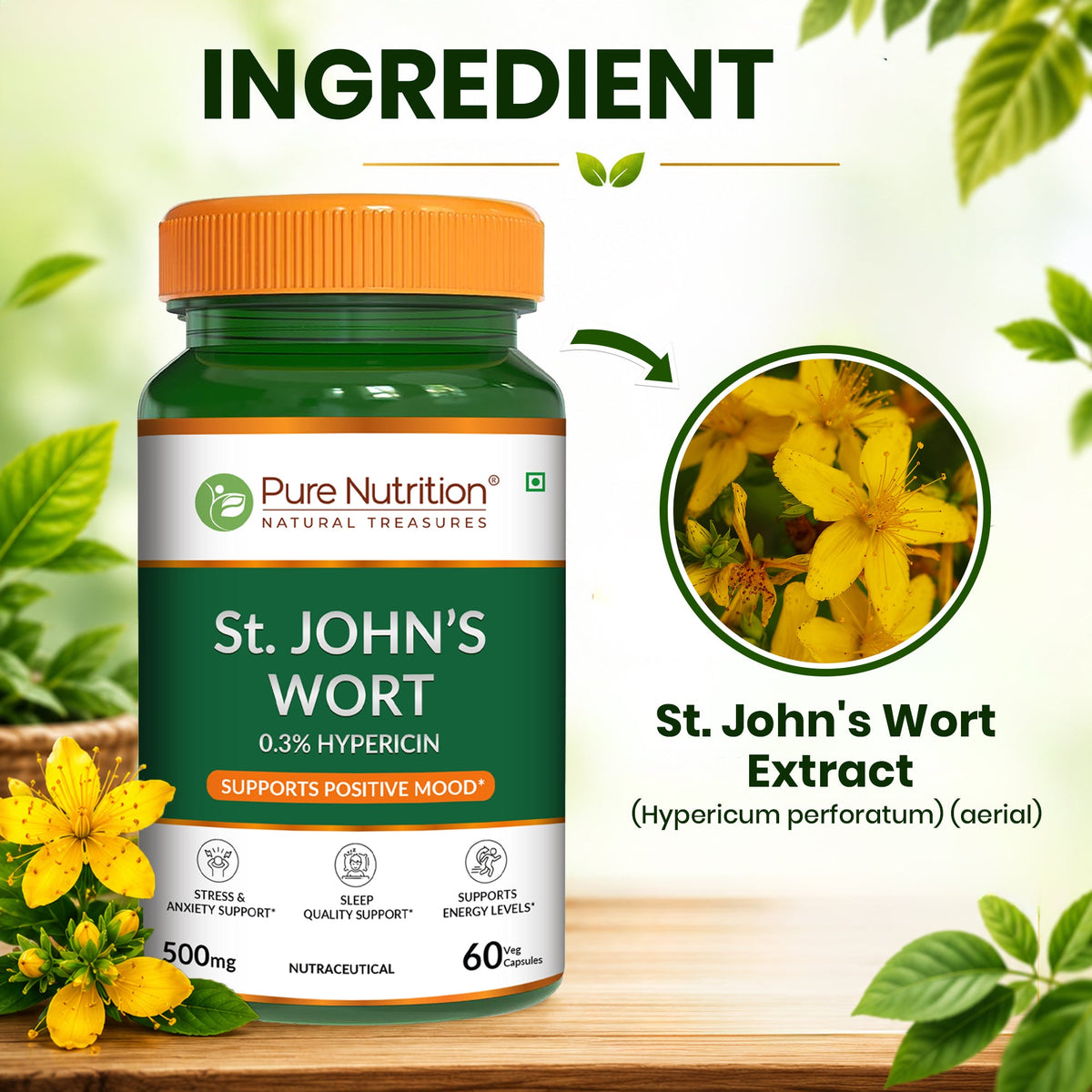 St. John's Wort 500mg Capsules | Standardized to 0.3% Hypericin | Herbal Wellness Supplement