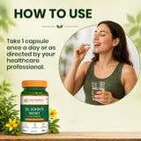 St. John's Wort 500mg Capsules | Standardized to 0.3% Hypericin | Herbal Wellness Supplement