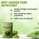Wheatgrass Powder  100g | Detox, Alkalizing & Daily Energy Support