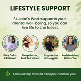 St. John's Wort 500mg Capsules | Standardized to 0.3% Hypericin | Herbal Wellness Supplement