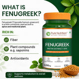 Fenugreek Seed Extract 1200mg Blood Sugar, Metabolism & Wellness | 120 Tablets