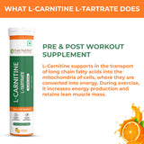 L-Carnitine L-Tartrate Effervescent Tablets  Fat Metabolism & Energy