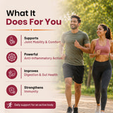 LipoMax Liposomal Curcumin 610mg with Ginger Extract & Piperine