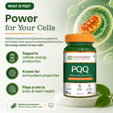 PQQ Pyrroloquinoline Quinone | Mitochondrial Energy & Cognitive Support