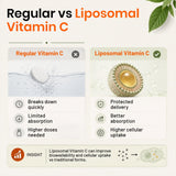 LipoMax Liposomal Vitamin C 80mg | Immune & Antioxidant Support