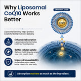 LipoMax Liposomal Coenzyme Q10 300mg 30 Veg Capsules | Antioxidant & Energy Support