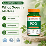 PQQ Pyrroloquinoline Quinone | Mitochondrial Energy & Cognitive Support