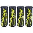 Babolat Ace Padel Ball Dozen (12 Balls)