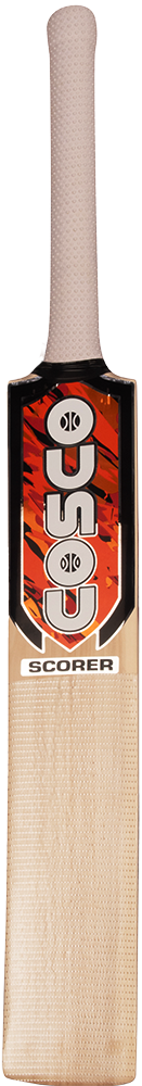 COSCO SCORER Kashmir Willow Cricket Bat | KIBI Sports