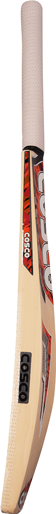 COSCO SCORER Kashmir Willow Cricket Bat | KIBI Sports