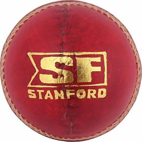 SF Club Practice Leather Ball - Balls by Stanford