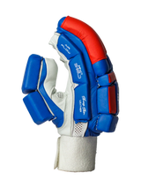 Cricket Batting Gloves - Blue & Red