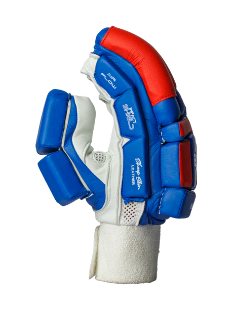 Cricket Batting Gloves - Blue & Red