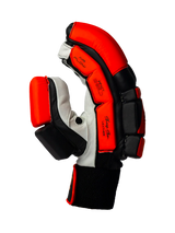 Cricket Batting Gloves - Black & Red