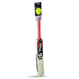 CRICKET PLASTIC BAT & BALL SET VX-555