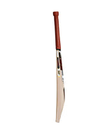 SF Strider English Willow Bat