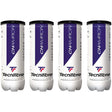 Tecnifibre Champion Balls Can | Kibi Sports Tecnifibre