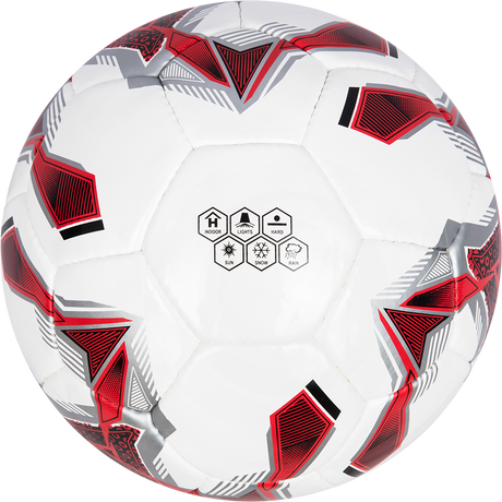 Cosco TORINO