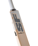SF Transformation 3.0 English Willow Bat