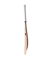 SF Transformation 2.0 English Willow Bat