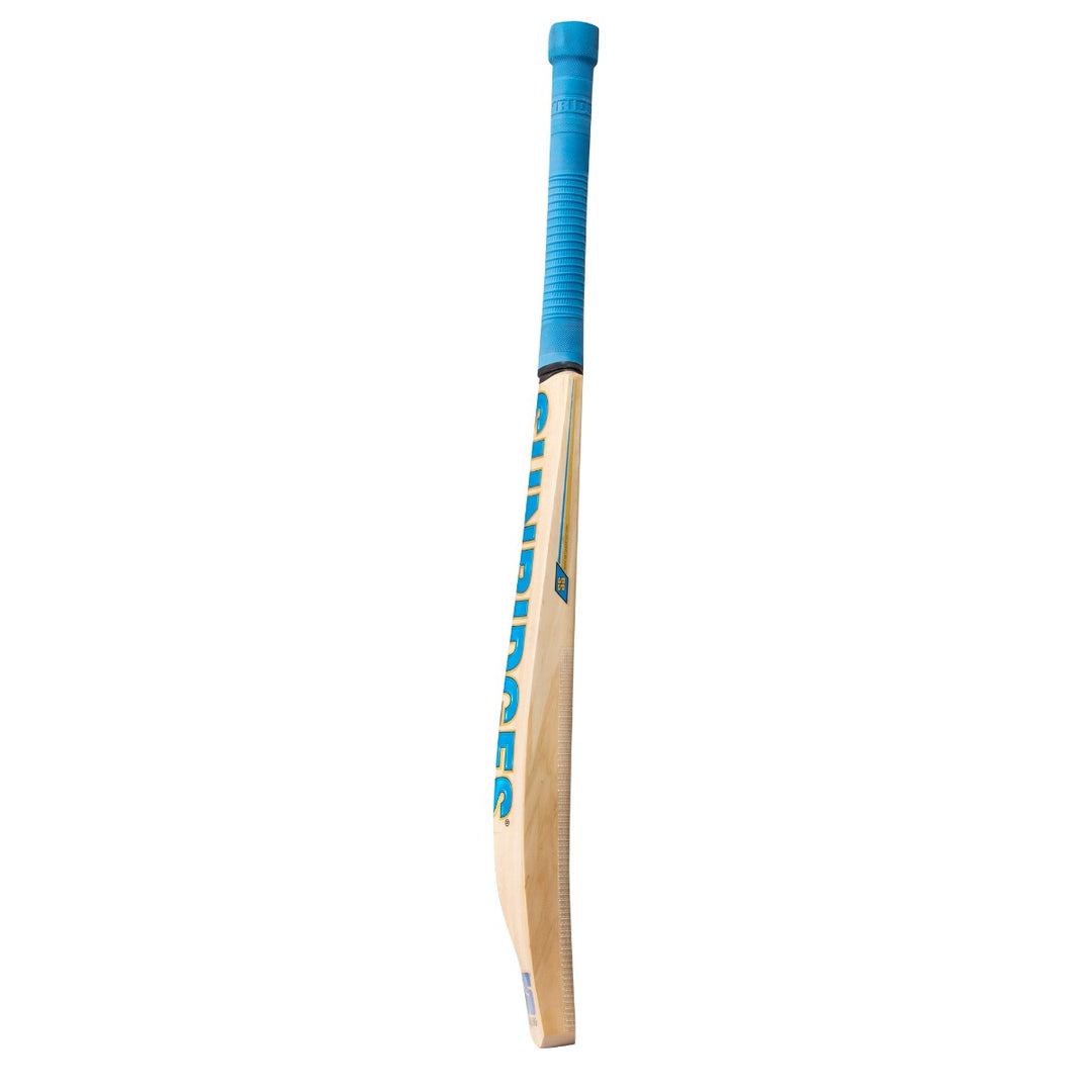 SS Vintage Bolt Kashmir Willow Cricket Bat | KIBI SPORTS